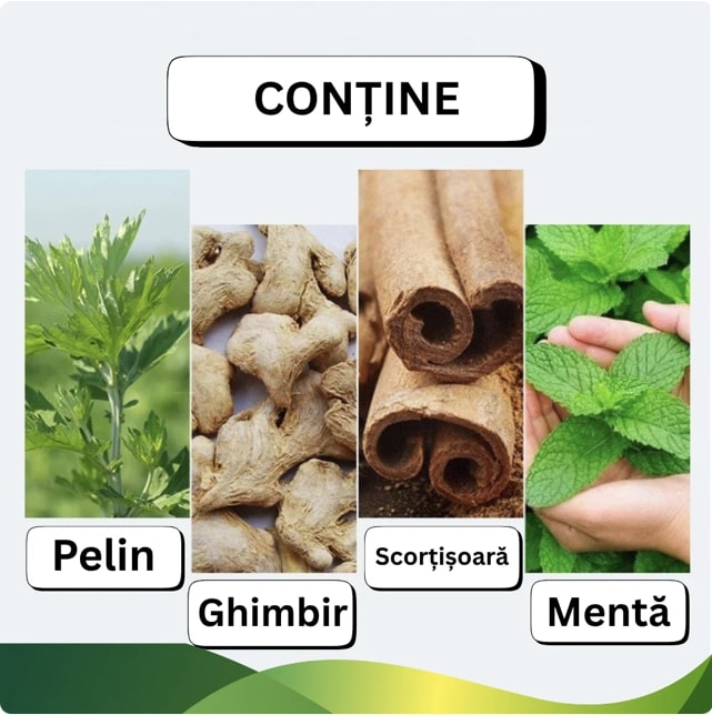 Set 100 Plasturi Pelin Confort